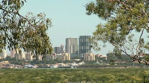 Darwin city through gum trees Video stock 1103010