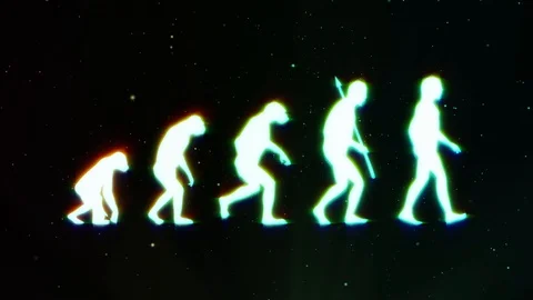 Darwin Evolution Theory Science  Stock Footage 105029456