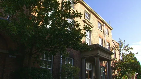 Darwin mount 4 1080i Video stock 325331