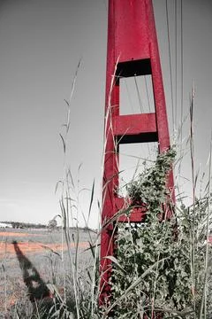 Darwin Power Pole Stock Photos