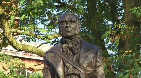 Darwin statue closeup 1080i Video stock 325630