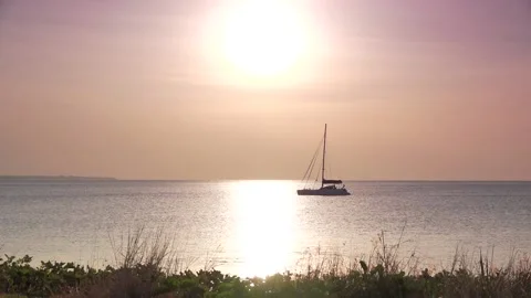 Darwin Sunset 1 Catamaran Stock Footage 130766342