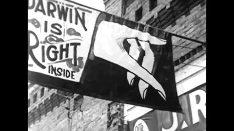 Darwin was right Defendant John Thomas Scopes and prosecutor William Jennings Stock Footage 137250540