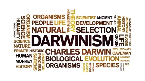 Darwinism animated word cloud,animation text kinetic typography seamless loop. Stock Footage 248958511