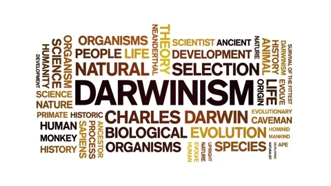 Darwinism animated word cloud,animation text kinetic typography seamless loop. Stock Footage 248958569
