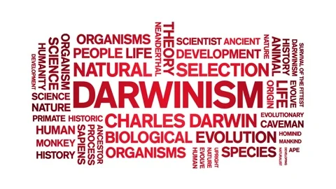 Darwinism animated word cloud,animation text kinetic typography seamless loop. Stock Footage 248958831