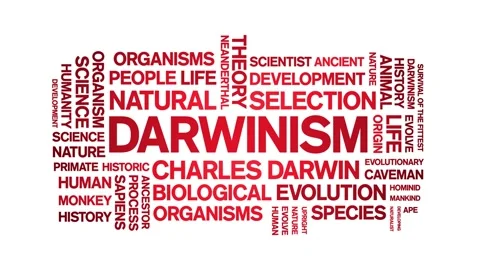 Darwinism animated word cloud,animation text kinetic typography seamless loop. Stock Footage 248958880