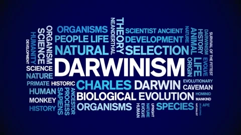 Darwinism animated word cloud,animation text kinetic typography seamless loop. Stock Footage 248959956