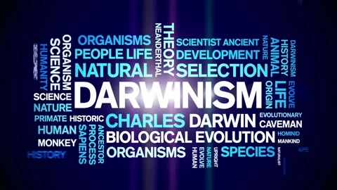 Darwinism animated word cloud,animation text kinetic typography seamless loop. Stock Footage 248960489