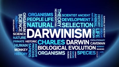 Darwinism animated word cloud,animation text kinetic typography seamless loop. Stock Footage 248961065