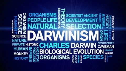 Darwinism animated word cloud,animation text kinetic typography seamless loop. Stock Footage 248961257