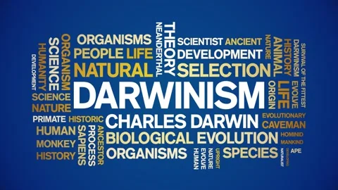 Darwinism animated word cloud,animation text kinetic typography seamless loop. Stock Footage 248961742