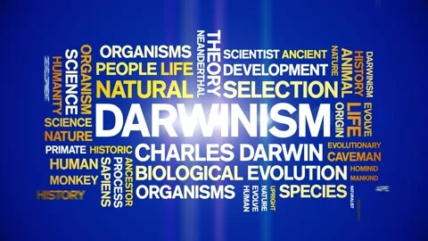 Darwinism animated word cloud,animation text kinetic typography seamless loop. Stock Footage 248964900