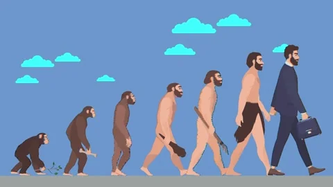 Darwin's theory of human evolution from animate apes Stock Footage 278708202