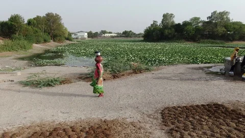 Dasada, Gujarat, India, Drone. Vídeos de archivo 129043900