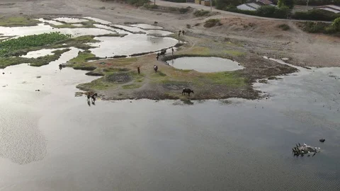 Dasada, Gujarat, India, Drone. Stock Footage 129043914