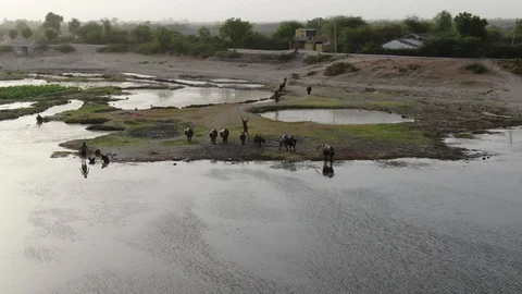 Dasada, Gujarat, India, Drone. Vídeos de archivo 129044080