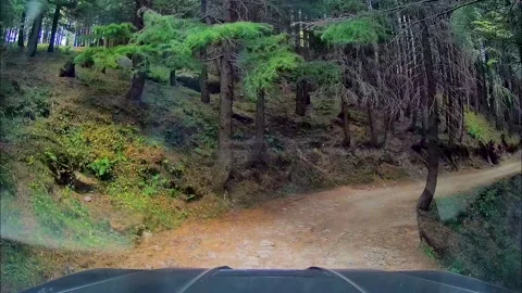 Dash cam view of SUV, driving through narrow and bumpy terrain of wildlife 스톡 동영상 144546502