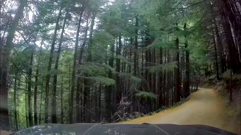 Dash cam view of SUV, off roading through narrow and bumpy terrain of 스톡 동영상 144303813