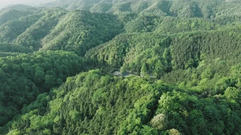 Dashanchong Forest Park in Changsha Stock Footage 167249778