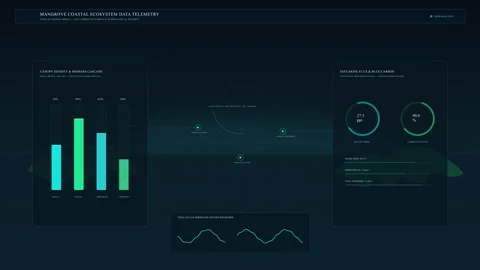 Dashboard analytics charts data screen interface loop motion graphic Stock Footage 346546794