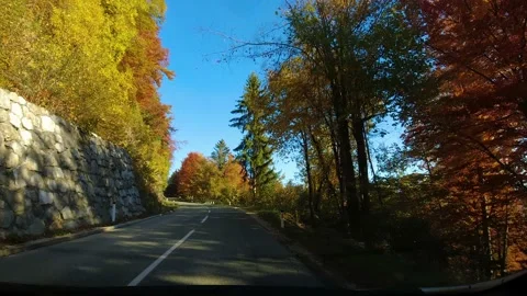 Dashboard camera view of driving a car on asphalt countryside road Stock Footage 171182646