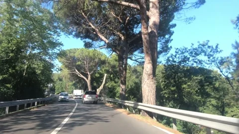 Dashboard dash cam point of view: driving on countryside road Stock Footage 135042480