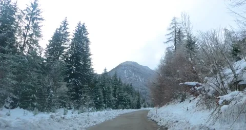 Dashcam dash camera POV driving on snowy countryside forest road Stock Footage 145868556