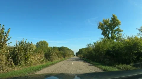Dashcam pov driving down the road through deciduous woodland in autumn aftern 스톡 동영상 163211663