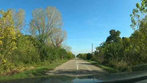 Dashcam pov driving down the road through deciduous woodland in autumn aftern Vídeos de archivo 163211740
