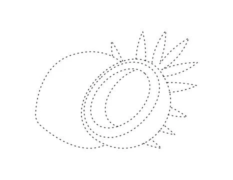 Dashed coconut outline for coloring book template, coconut for kids illustr.. Stock Illustration