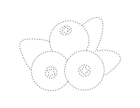 Dashed cranberry outline for coloring book template, cranberry for kids ill.. Stock Illustration