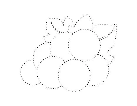 Dashed grape outline for coloring book template, grape for kids illustratio.. Stock Illustration
