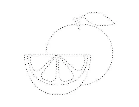 Dashed grapefruit outline for coloring book template, grapefruit for kids i.. 스톡 일러스트