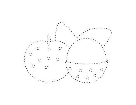 Dashed longan outline for coloring book template, longan for kids illustrat.. Stock-Illustration