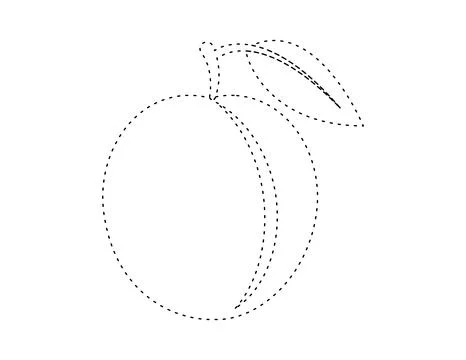Dashed plum outline for coloring book template, plum for kids illustration .. イラスト素材