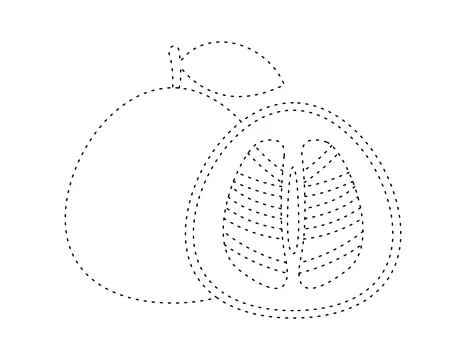 Dashed pomelo fruit outline for coloring book template, shaddock for kids i.. Ilustración de archivo