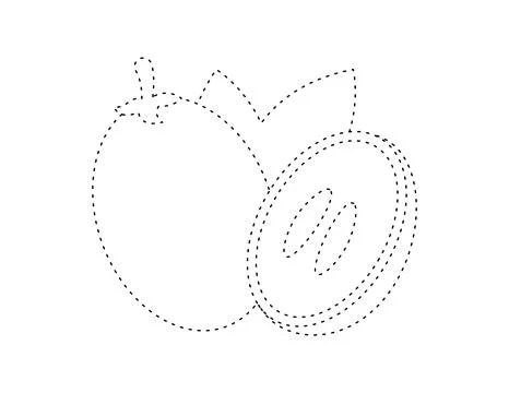 Dashed sapodilla outline for coloring book template, sapodilla for kids ill.. Stock Illustration