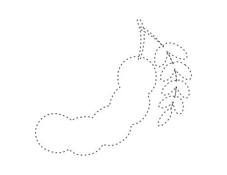 Dashed tamarind outline for coloring book template, tamarind for kids illus.. Stock Illustration