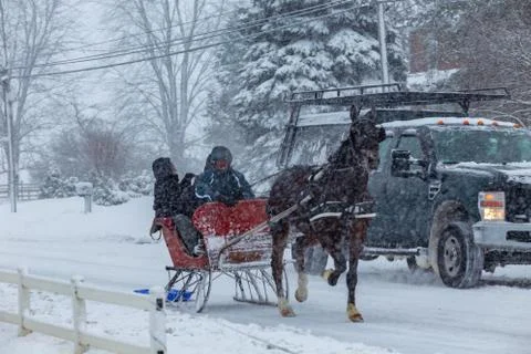 Dashing Through the Snow Stock Photos