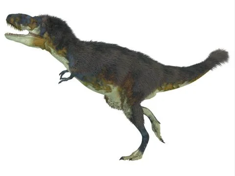 Daspletosaurus Side Profile Illustrazione stock