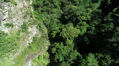 Dasyueshan located in Taichung City Vidéo 141702853