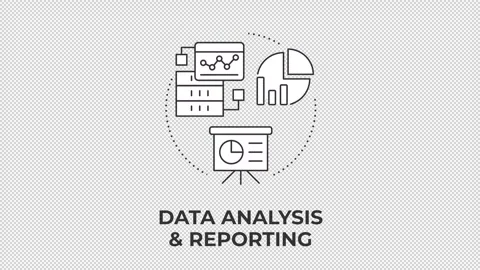 Data analysis and reporting animated line concept icon Stock Footage 346720048