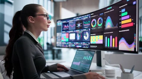 Data Analyst Reviewing Financial Dashboard Stock Footage 344712657