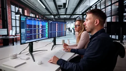 Data Analyst Using Spreadsheet On Computer In Office Stock Footage 315211036