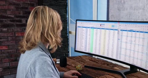 Data Analyst Woman Using Spreadsheet Stock Footage 231936140
