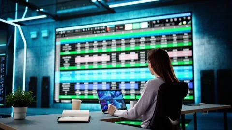 Data Analyst Woman Using Spreadsheet Stock Footage 301829515