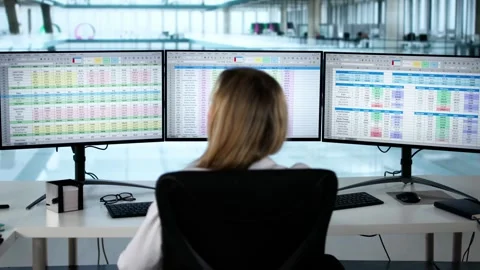 Data Analyst Woman Using Spreadsheet Stock Footage 306319816