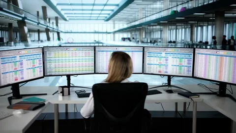 Data Analyst Woman Using Spreadsheet Stock Footage 307627224
