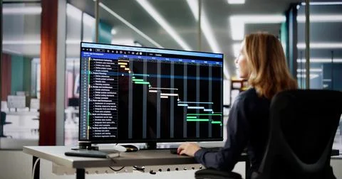 Data Analyst Woman Using Spreadsheet On Computer 스톡 사진